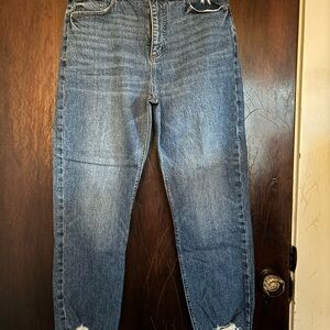 LOFT Blue Ankle & Cropped Jeans